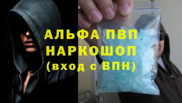 СК Алзамай