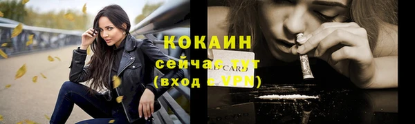apvp Краснослободск