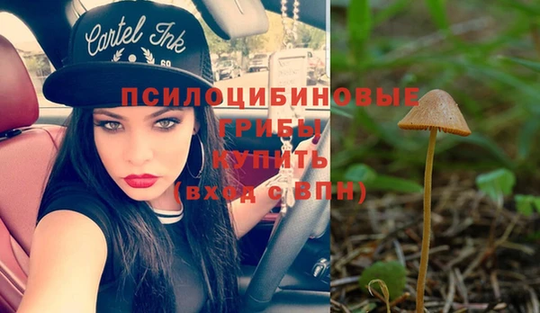 спиды Алексеевка